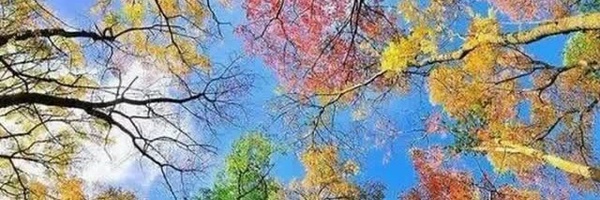 ‌علیرضا مقدم‌'s header picture