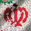 Profile picture of ‌حمزه بیات‌