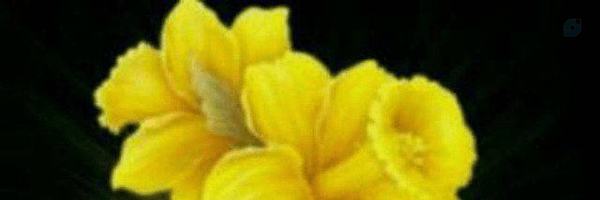 ‌زهرا باقری‌'s header picture