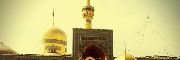 ‌🌺دخترِامام‌رضا🌺‌'s header picture