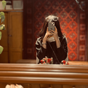 Profile picture of ‌Seti‌