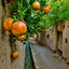 Profile picture of ‌حمیدرضا‌