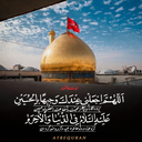 Profile picture of ‌مرتضی م‌