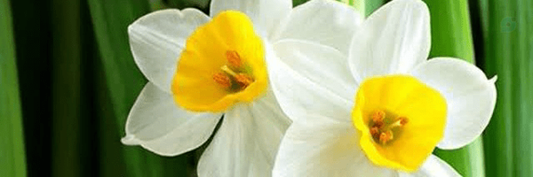 ‌S.S Hashemiii313‌'s header picture