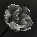 Profile picture of ‌باد صبا‌