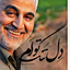 Profile picture of ‌افراگل‌