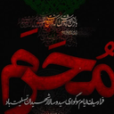 Profile picture of ‌ترورچی‌