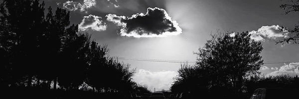 ‌اَلی با عین‌'s header picture