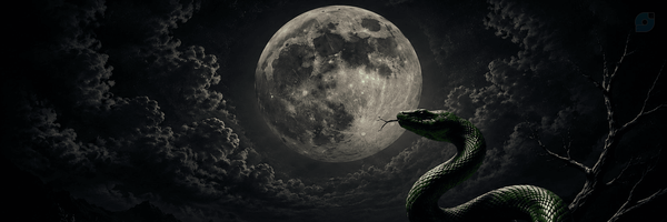 ‌ماه‌خوشحال🌚🇮🇷‌'s header picture