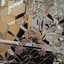 Profile picture of ‌[کُلُّنا فِداكَ]‌