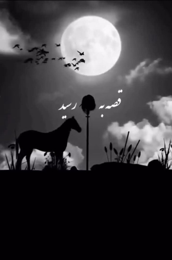 قصه به #سر رسید و حکایت همچنان باقیست...