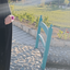 Profile picture of ‌~ مـائـده ~‌