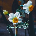 Profile picture of ‌پری عباسی‌