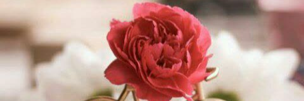 ‌***** احمدی‌'s header picture