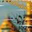 Profile picture of ‌علی‌