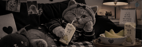 ‌مِهی‌'s header picture