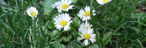 ‌مهتاب جعفری‌'s header picture