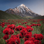 Profile picture of ‌Dokhtare Iranzamin‌