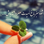 Profile picture of ‌طاهره رضایی‌