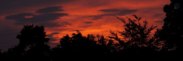 ‌S. A. Mir‌'s header picture