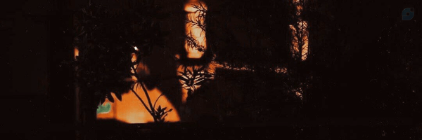‌محمدجواد🤚‌'s header picture