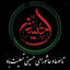 Profile picture of ‌سید رضا عادلی‌