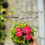 Profile picture of ‌mohsen khatami‌