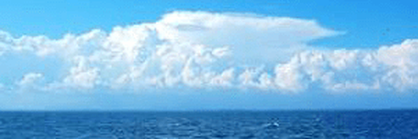 ‌Raana Ghorbani‌'s header picture