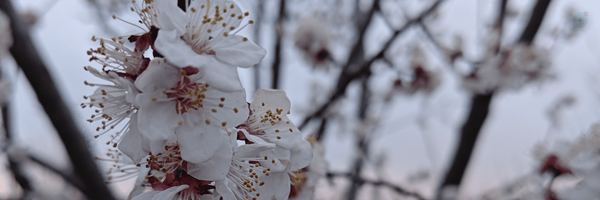 ‌علیزاده (یه معلم)‌'s header picture