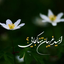 Profile picture of ‌Yas N‌