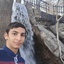 Profile picture of ‌سید محمد معلمی‌