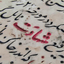 Profile picture of ‌Amiralimohammadshahi_16‌
