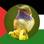 Profile picture of ‌م صالح 🌍‌