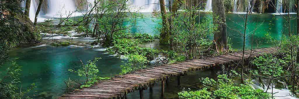 ‌الی سلطانی‌'s header picture