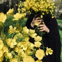 Profile picture of ‌Zeinab So‌