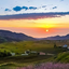 Profile picture of ‌مرد تنهای شب‌