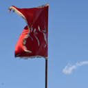 Profile picture of ‌𝔸𝕝𝕒𝕢𝕤𝕒‌