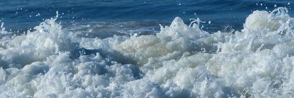 ‌𝓜𝓲𝓼𝓸‌'s header picture