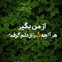 Profile picture of ‌حامد 👨‍💻 _ مشاور‌