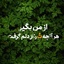 Profile picture of ‌حامد 👨‍💻‌