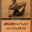 Profile picture of ‌mohamad reza‌