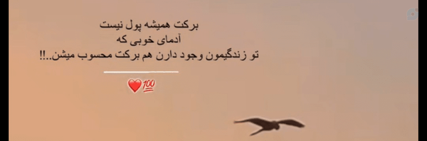 ‌مُــتــرَصِّــدْ‌'s header picture