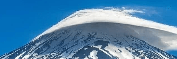 ‌پرستو شادپیام‌'s header picture