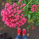 Profile picture of ‌آقای مهربون🌻‌