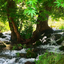 Profile picture of ‌کامران 1382‌