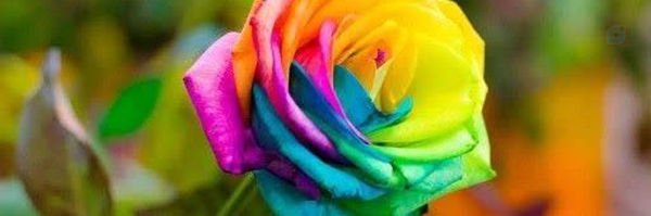 ‌ܢ݆ߺࡅ߭ߊ‌ܣ♡‌'s header picture