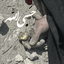 Profile picture of ‌przad _ir‌