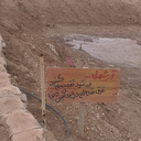 Profile picture of ‌لطیفی نژاد‌