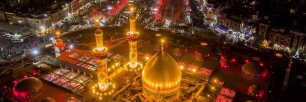 ‌گل نرگس‌'s header picture