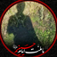 Profile picture of ‌حسن‌